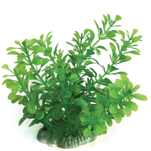 Plastväxt Bacopa green 13 cm