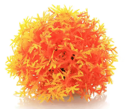 Mossboll Orange Liten - Taxiphyllum Barbieri