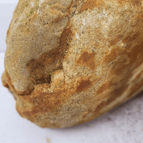 Sten Megakit - Bumblebee boulder