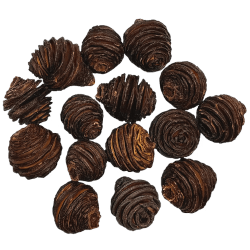 African Pine pod