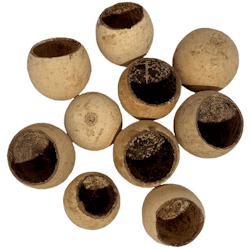 Bael pod