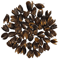Bakuli pod