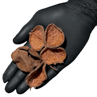 Land Lotus Petals pod