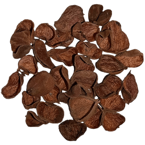 Land Lotus Petals pod