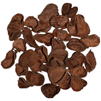 Land Lotus Petals pod