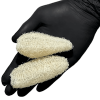 Luffa Sponge pod