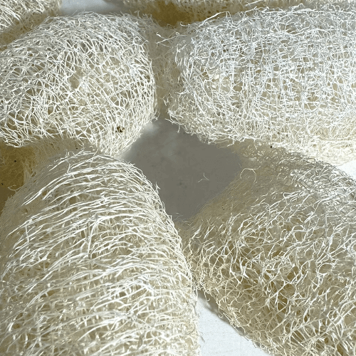 Luffa Sponge pod