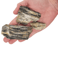 Nano sten - Grey Fossil wood rock