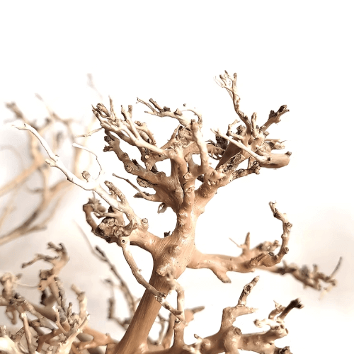 Canopy wood