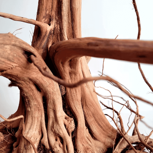 Rebel wood