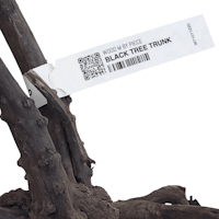 Black tree trunk