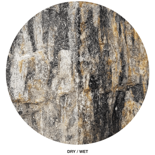 Sten Megakit - Grey fossil wood rock