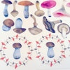 Närbild på konturskurna stickers  / klistermärke - svampar