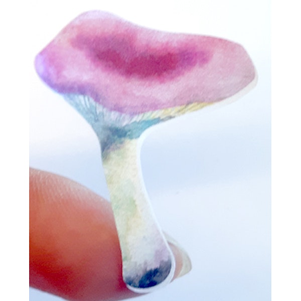 Närbild på konturskuren svamp