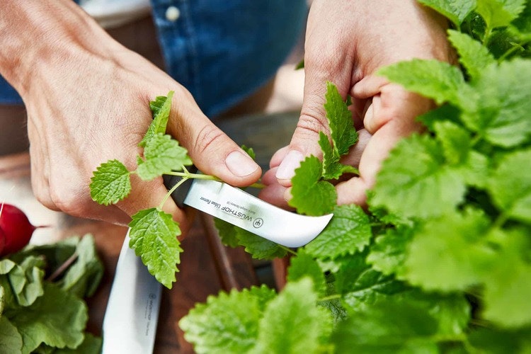 Wüsthof  Urban Farmer Beskärning Kniv 8 cm