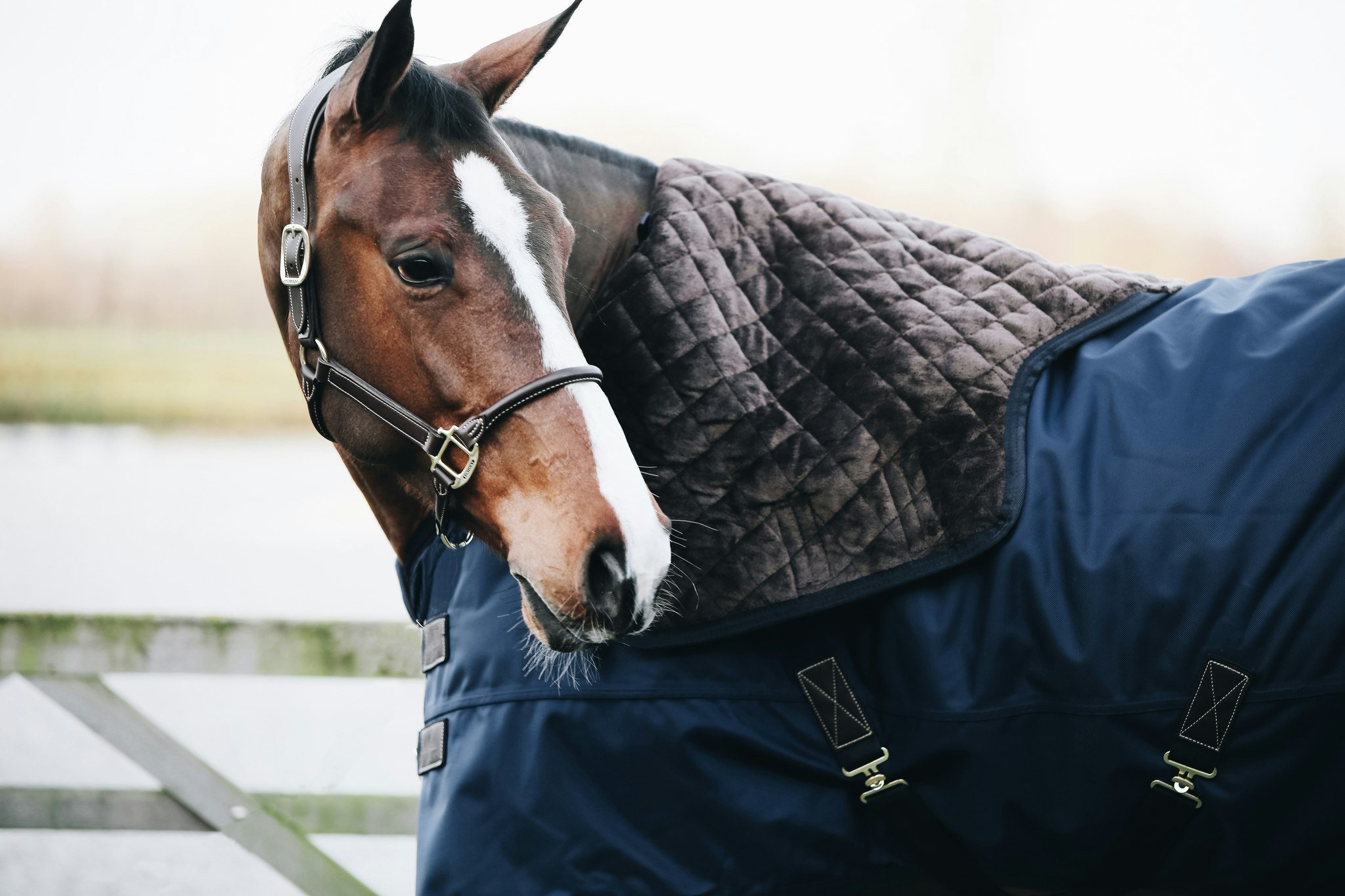 Kentucky Turout Rug All Weather pro