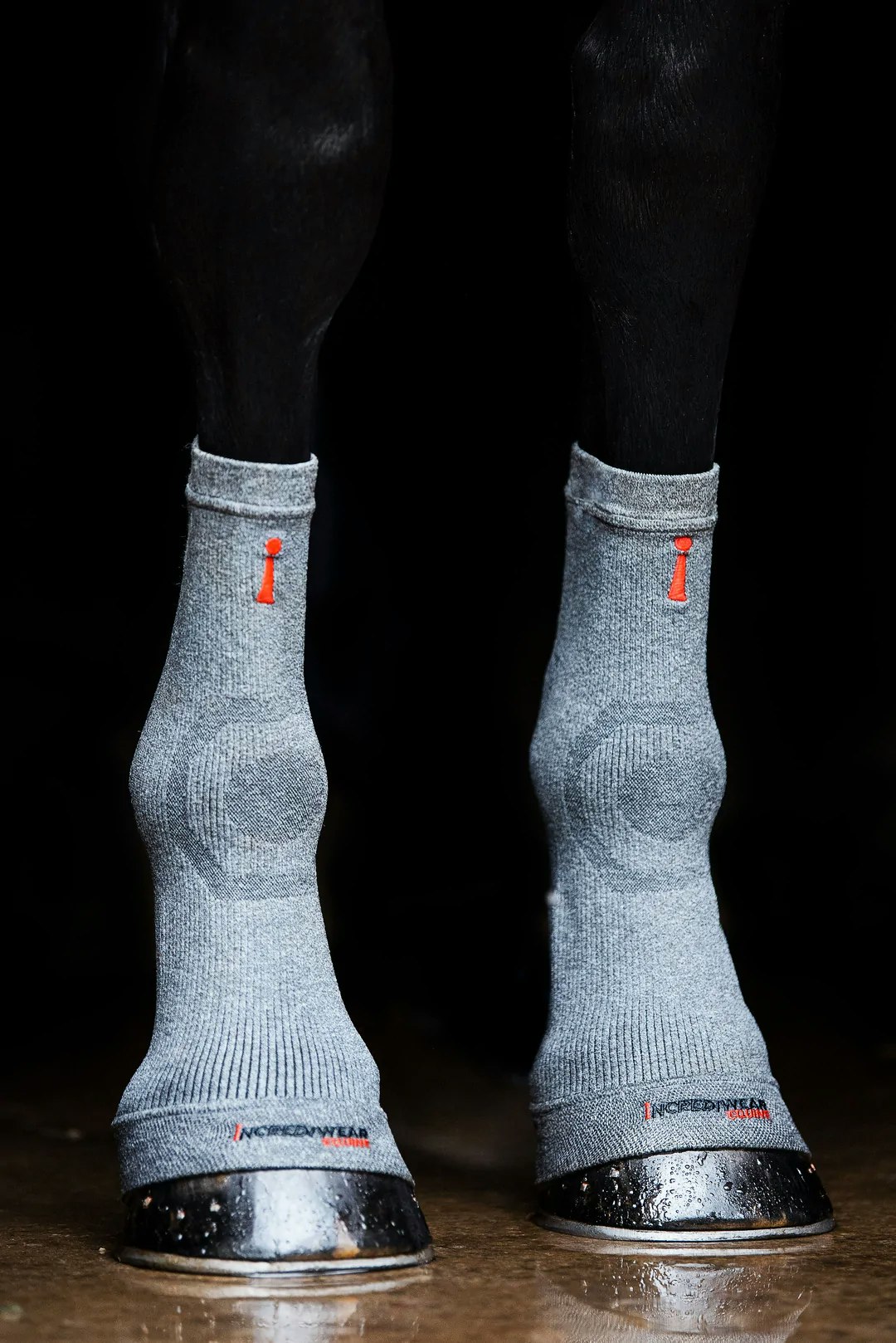 Incrediwear Circulation Hoof Socks One Size