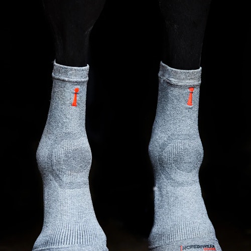 Incrediwear Circulation Hoof Socks One Size