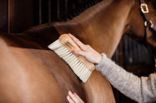 Grooming Deluxe Borste Mjuk