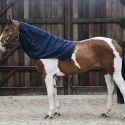 Kentucky Cooler Fleece Horse Scarf