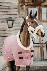 Kentucky Show Rug Velvet Old Rose