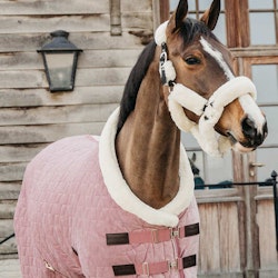 Kentucky Show Rug Velvet Old Rose