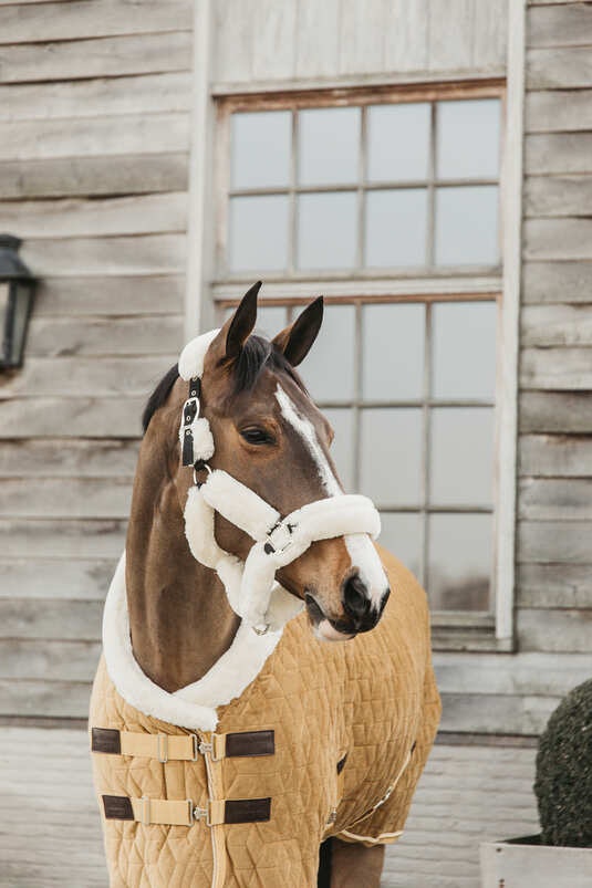 Kentucky Show Rug Velvet Mustard