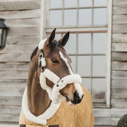 Kentucky Show Rug Velvet Mustard