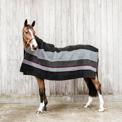 Kentucky Heavy Fleece Square Stripes