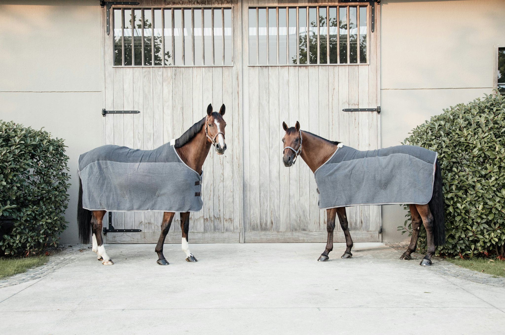 Kentucky fleece rug heavy Grey