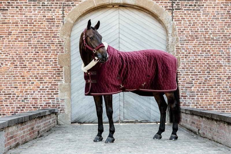 Kentucky Show Rug Velvet Bordeaux