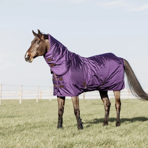 Kentucky Turn Out Rug All Weather pro 160G Royal Purple