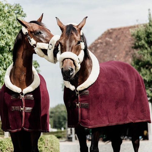 Kentucky fleece show rug "heavy" Bordeaux