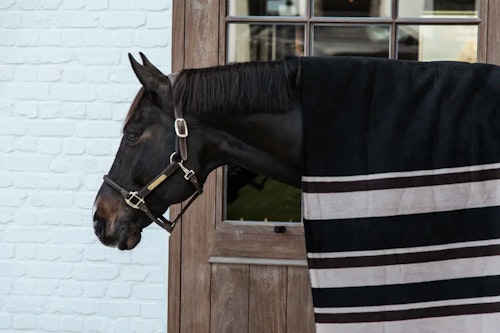 Heavy Fleece Rug Square Stripes Beige