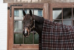 Heavy Fleece Rug Square check print Brown