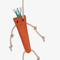 Horse Toy Carrot