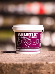 Atletix Horse