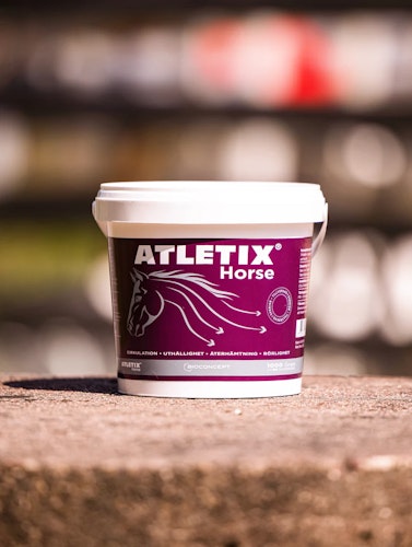 Atletix Horse