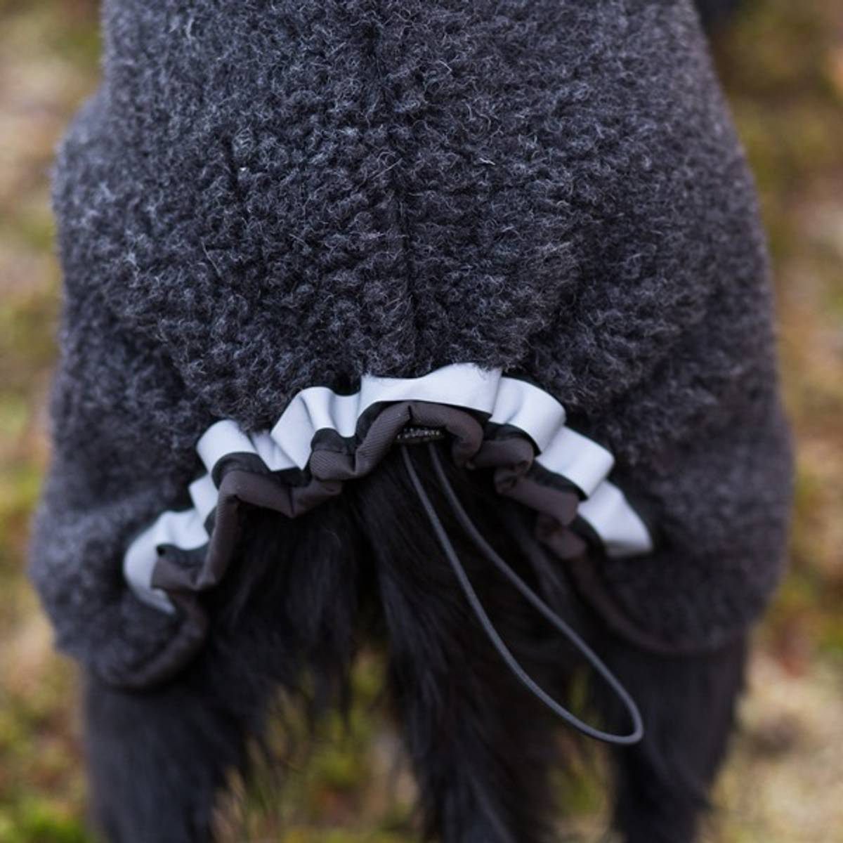 Canelana Ambassadør ulldekken hund