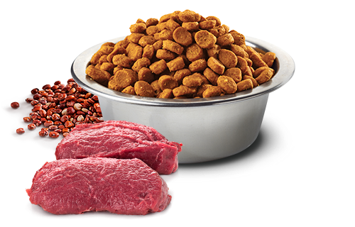 Farmina N&D Dog Quinoa Skin & Coat, Venison & Coconut Adult All Breeds 7 Kg