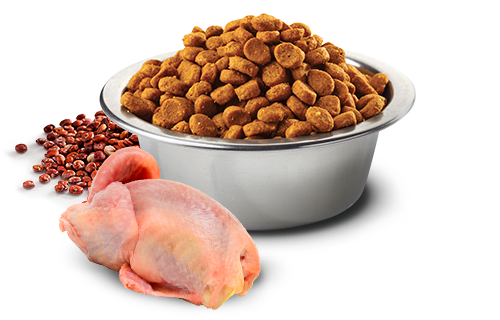 Farmina N&D Dog Quinoa Skin & Coat, Quail & Coconut Adult Med/MAX 2,5 Kg