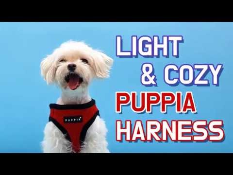 Puppia Soft Sport Harness B Grå / Grey