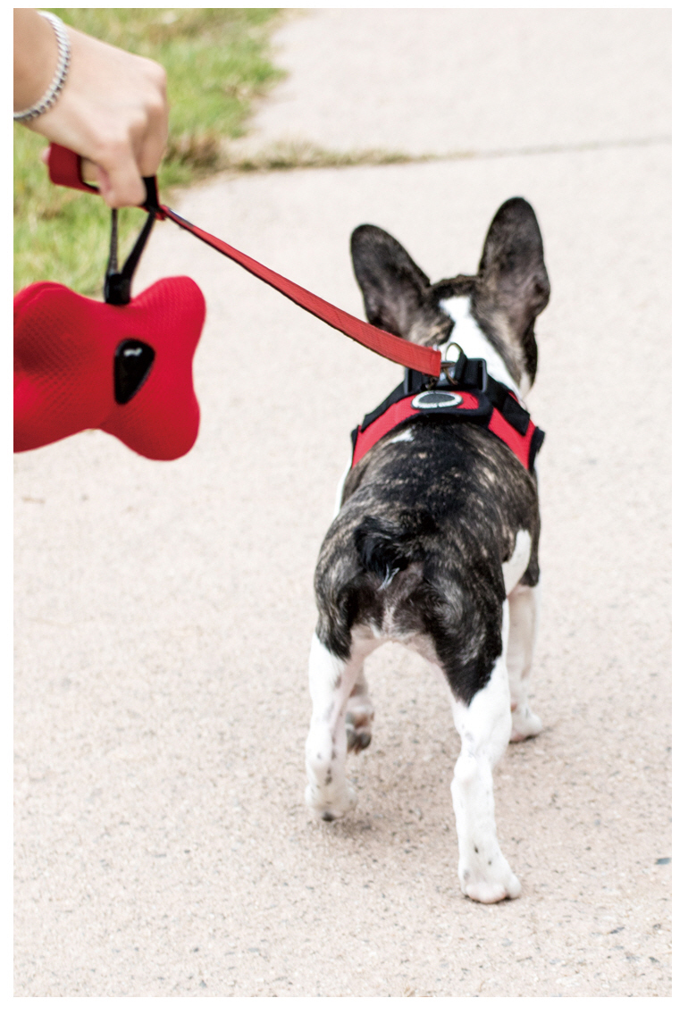 Puppia Two Tone Lead Vinrød / Wine Kobbel