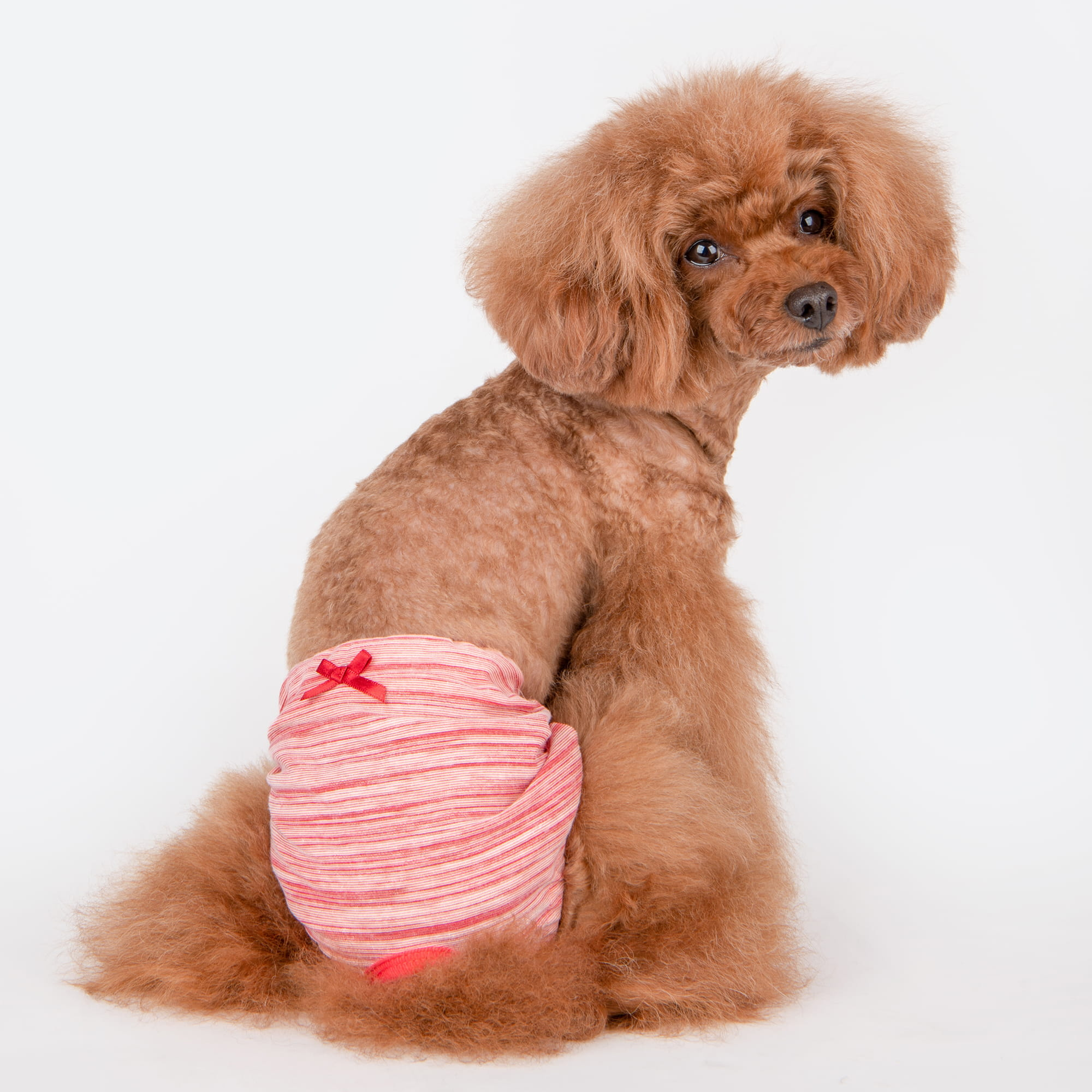 Puppia Florine Tispetruse Rød