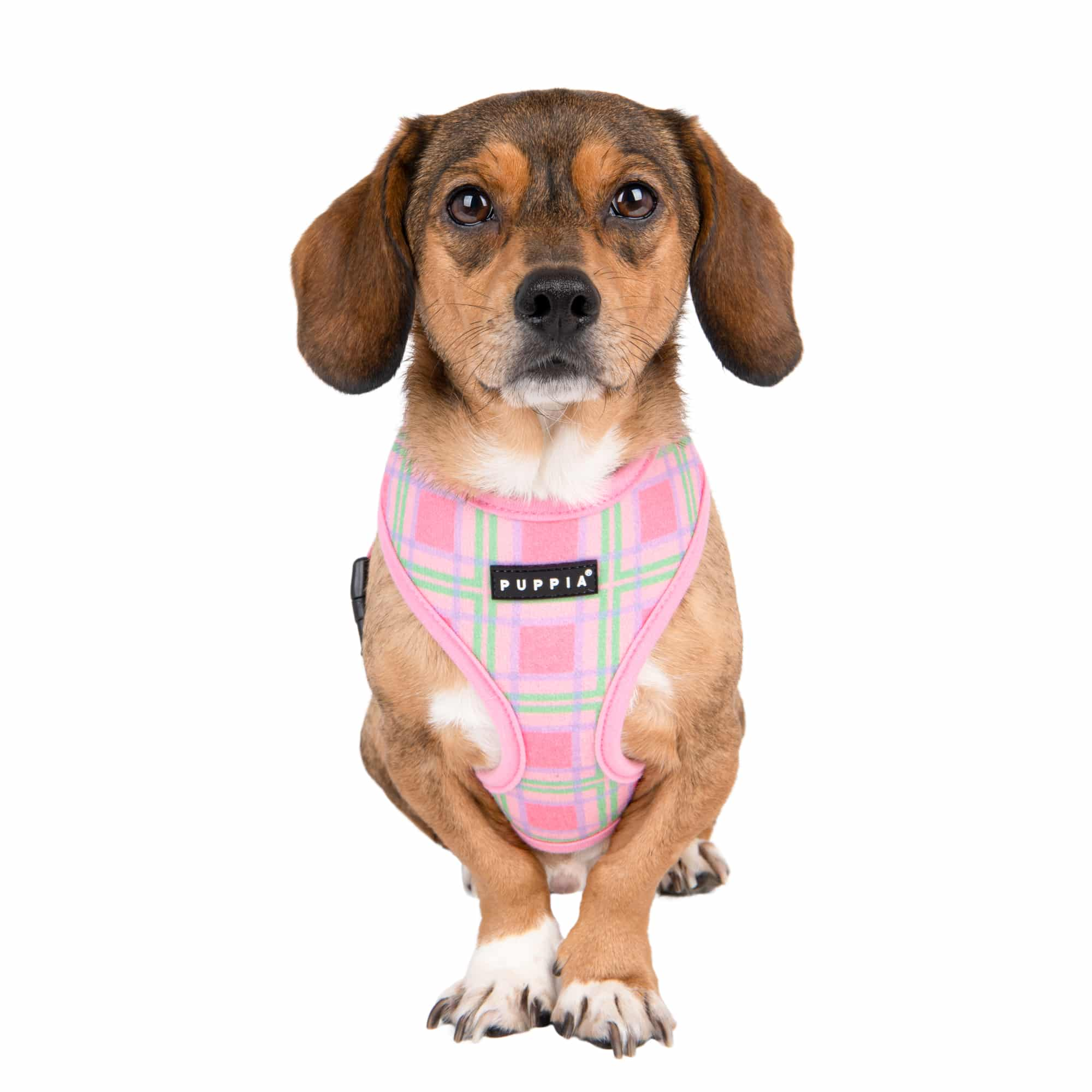 Puppia Jaylen Harness A Rosa / Pink