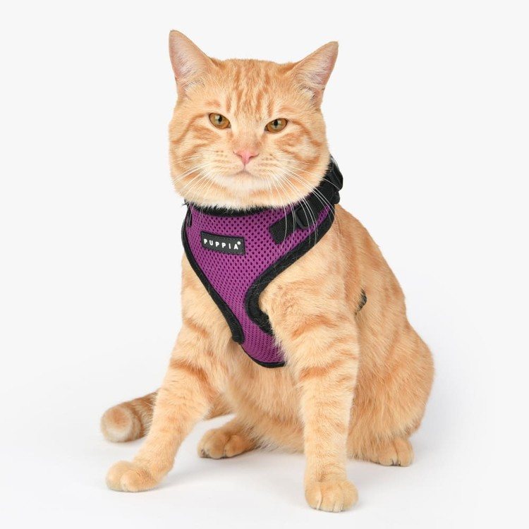 Puppia Ritefit Air Mesh Harness Lys blå / Sky Blue med justering i både nakke og bryst