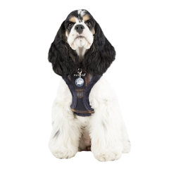 TEST Puppia Kemp Harness A Beige/Navy/Grey XL