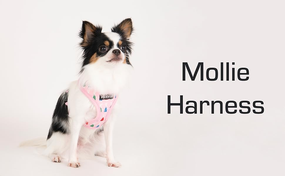 Puppia Mollie Harness A Blå / Navy