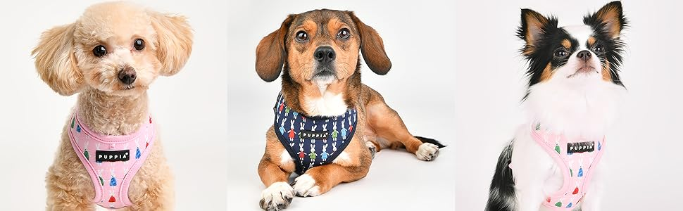 Puppia Mollie Harness A Blå / Navy