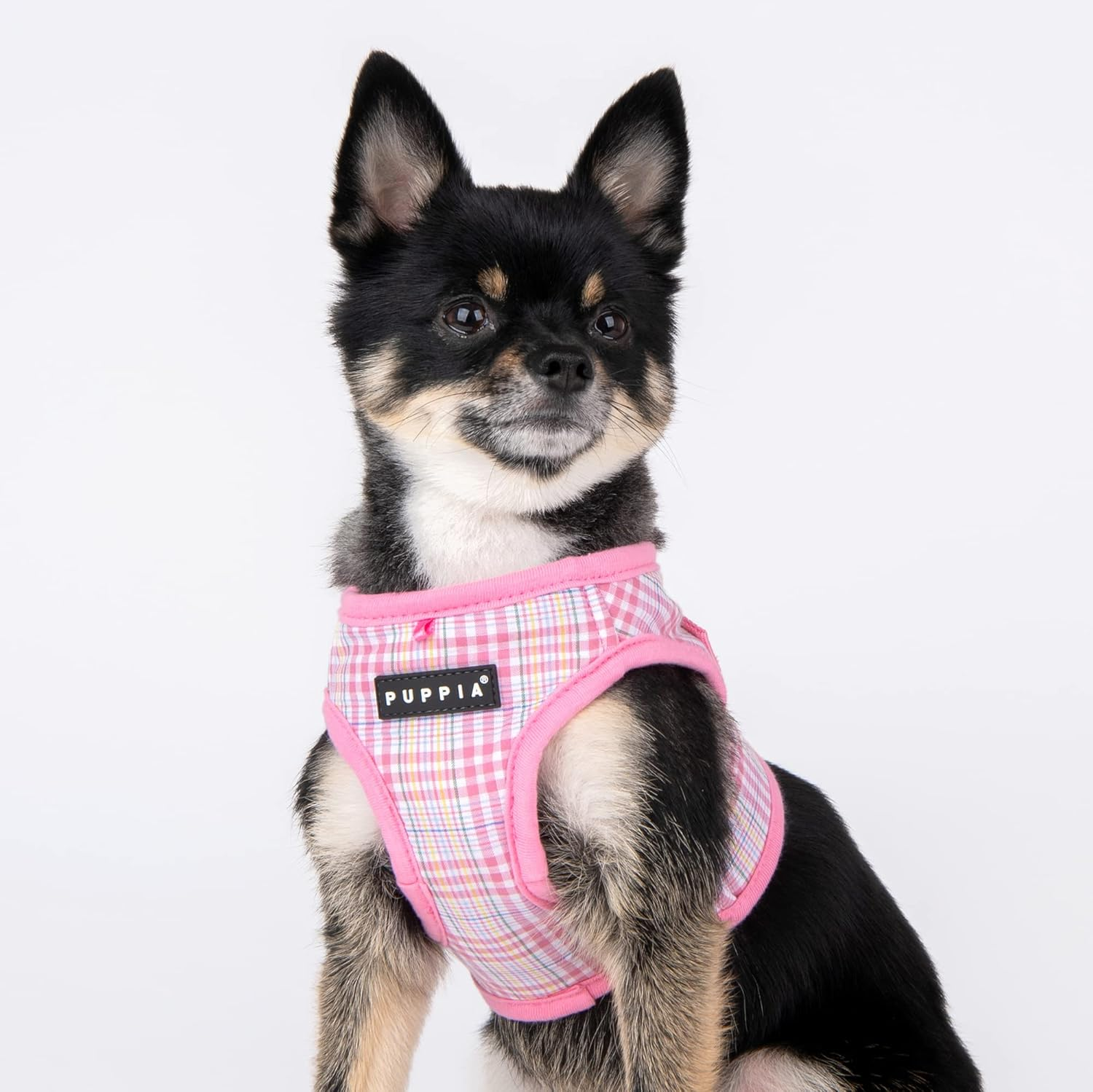 Puppia Luke Harness B Aqua